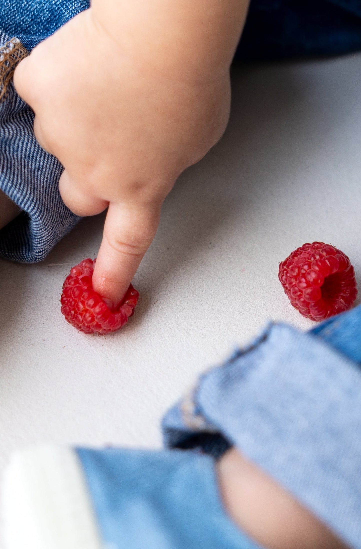 Growing With Flavor book